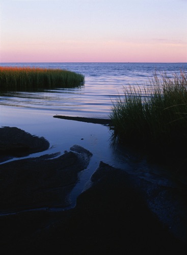 Incoming Tide, Great Bay, Atlantic County, NJ (MF).jpg